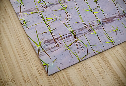 Flooded Rice field Titane puzzle