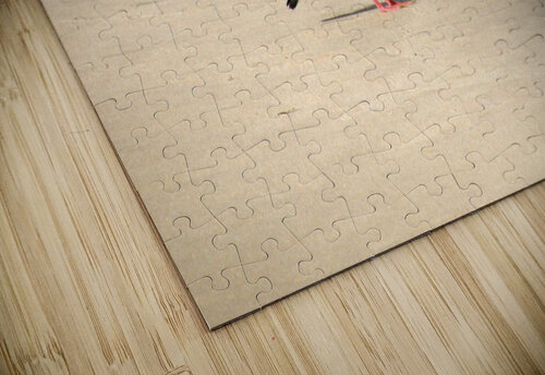 Oyster catcher Titane puzzle