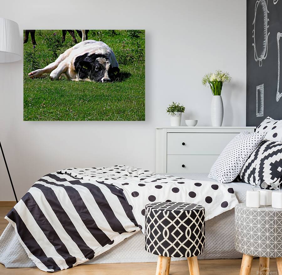 Lazy cow Reproduction