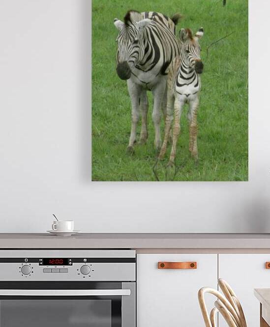 zebra mom_baby by Titane