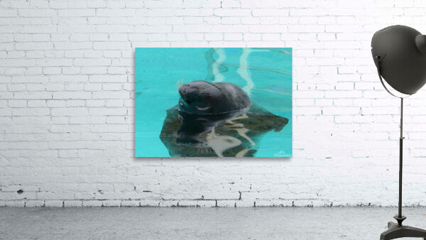 Bath bliss Wall Preview
