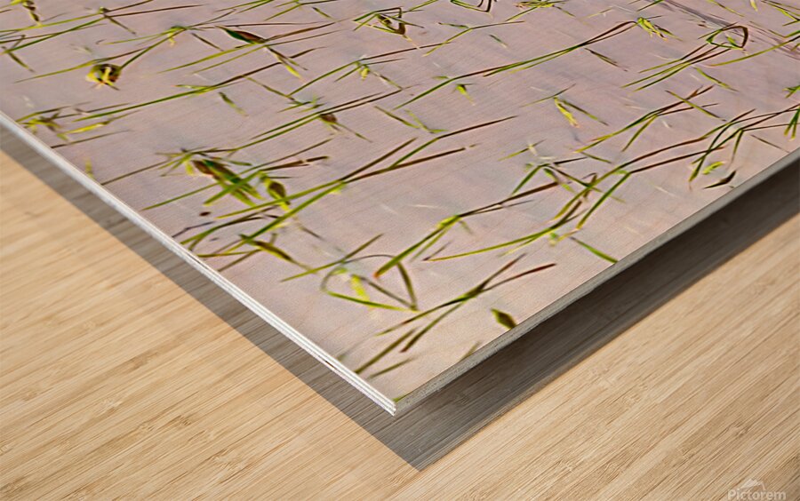 Flooded Rice field Wood print