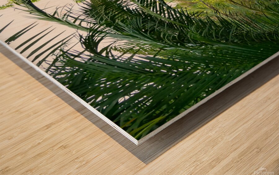 Mekong Wood print