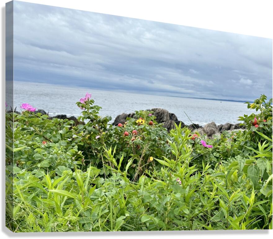Sea Blossoms  Canvas Print