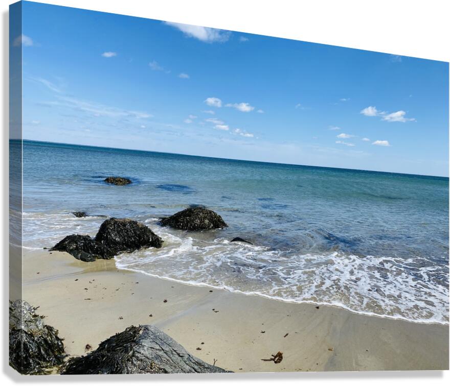 Marginal Way Joy Canvas Print
