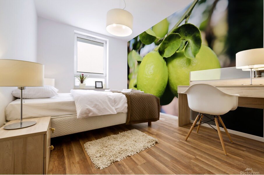 Little Lemons Mural print