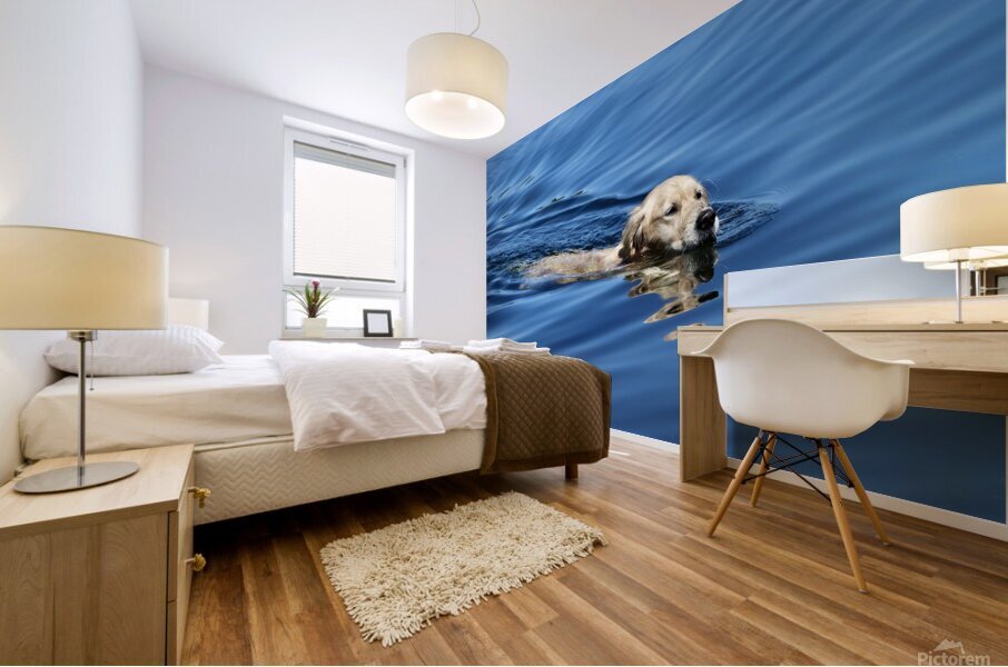 Freedom Mural print