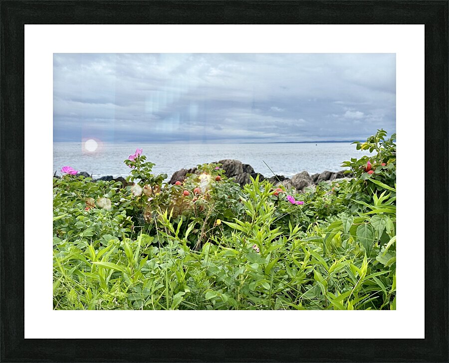 Sea Blossoms  Picture Frame print