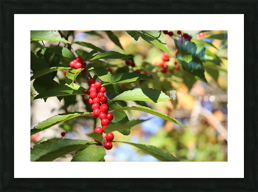 Happy Berries Picture Frame print