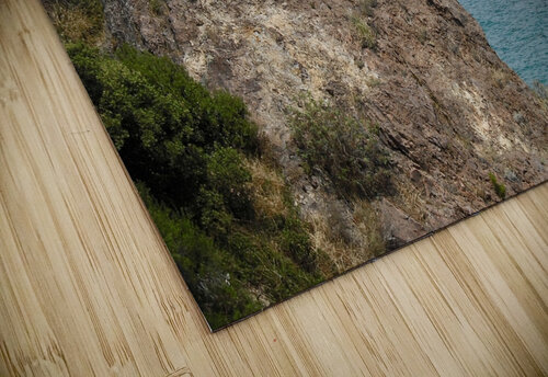 Escape Jayne Kubicek puzzle
