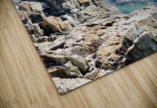 Teal Tides Jayne Kubicek puzzle