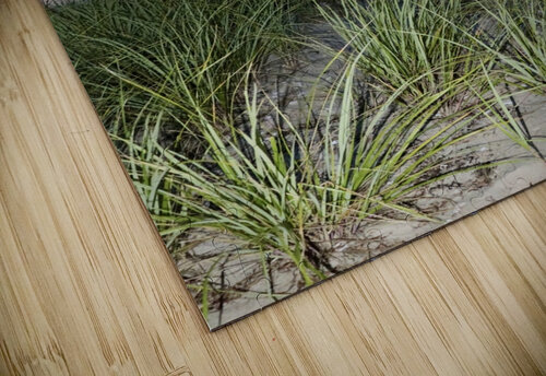 Cape Cod Sunset  Jayne Kubicek puzzle