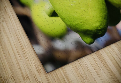 Little Lemons Jayne Kubicek puzzle