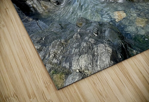 Treasure Tide Jayne Kubicek puzzle