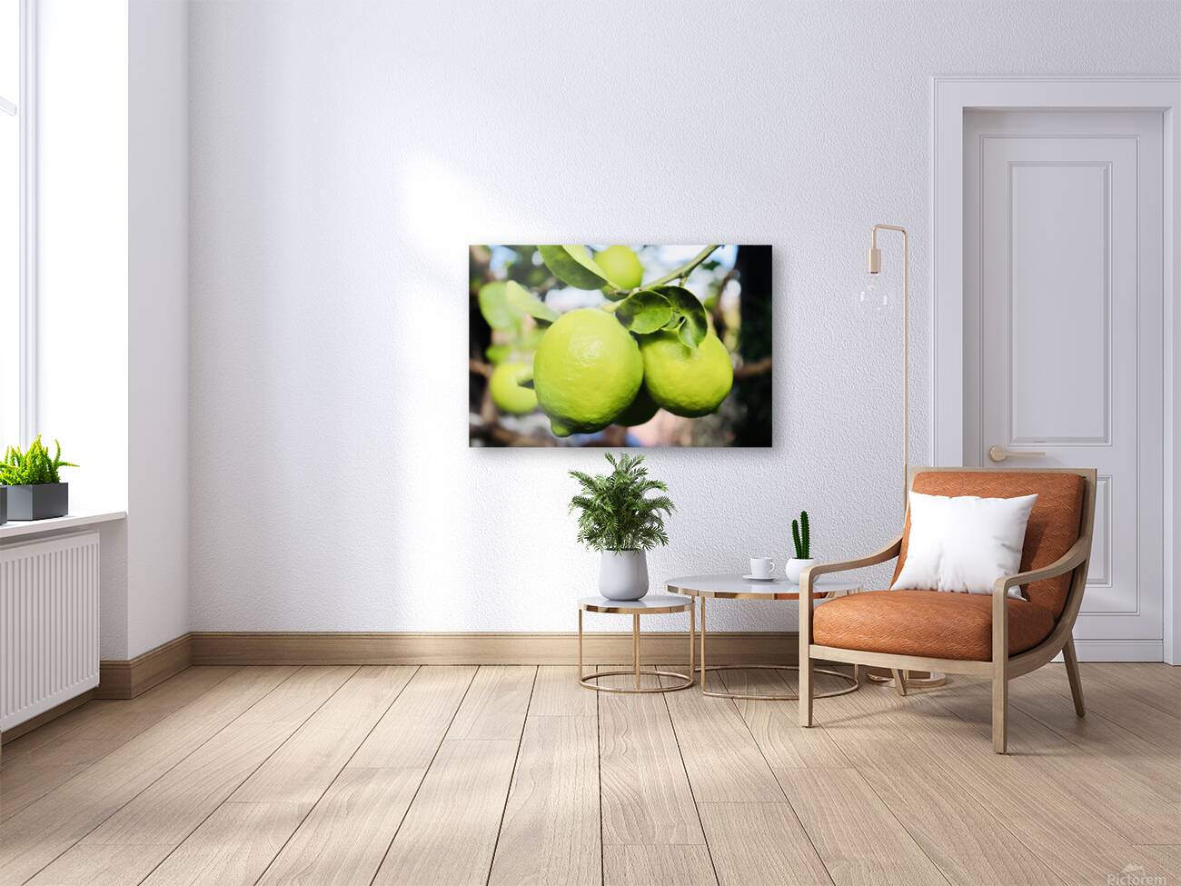 Little Lemons Reproduction