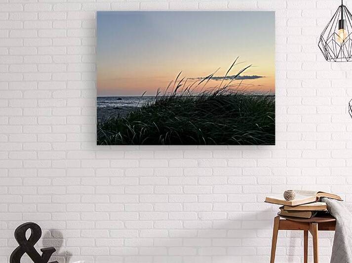 Dreaming of the Cape  by Jayne Kubicek