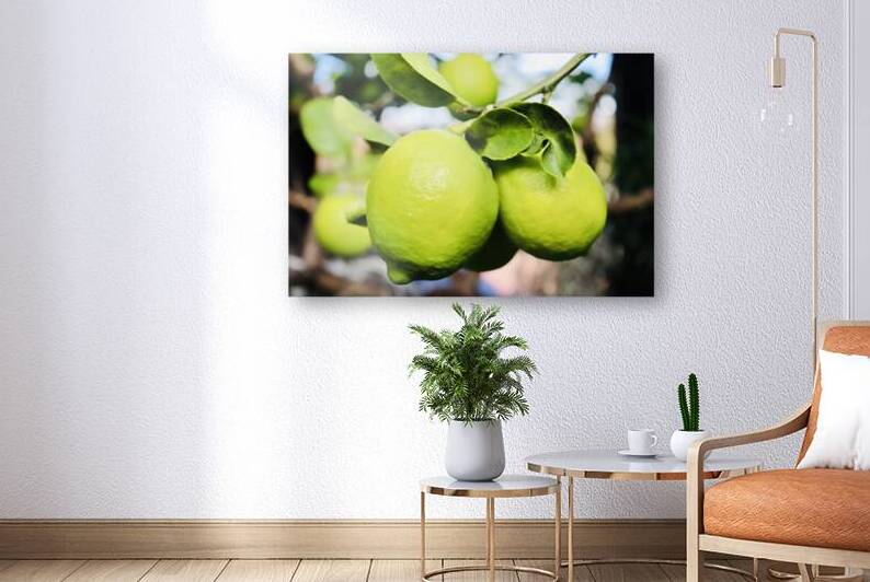 Little Lemons by Jayne Kubicek
