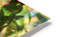Happy Berries HD Metal print