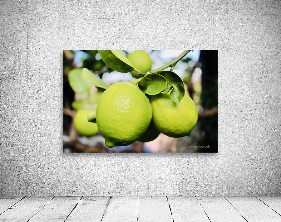 Little Lemons Wall Preview