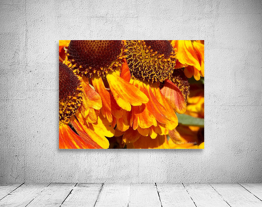 Fleurs de Soleil Wall Preview