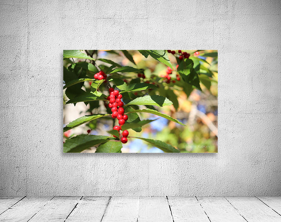 Happy Berries Wall Preview