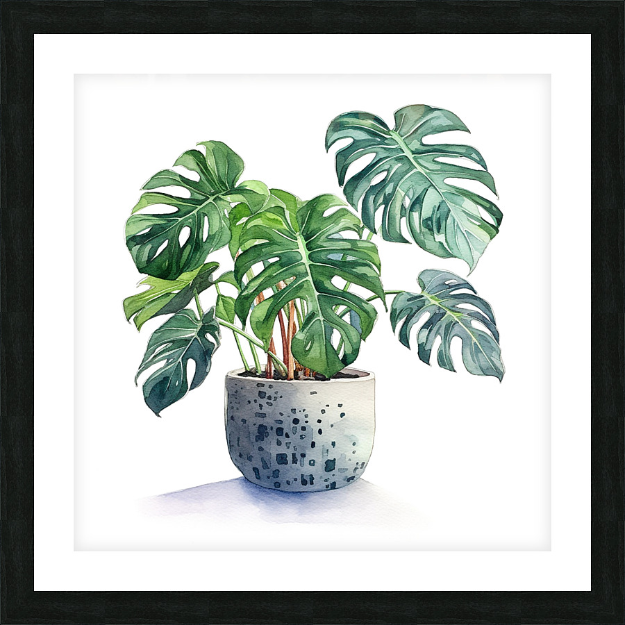 Watercolor of Monstera deliciosa plant in a pot by Nora Sahinun Wall Art