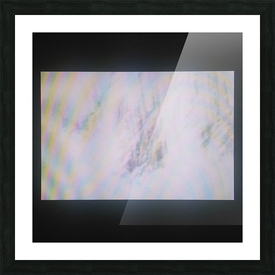 Brittanica Picture Frame print