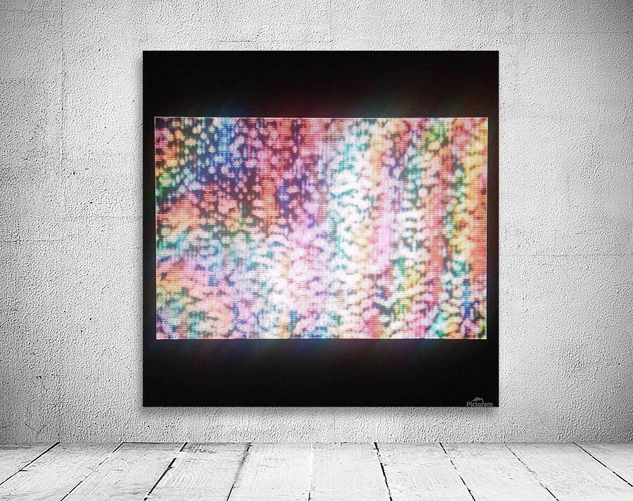 Shmephemera2 Wall Preview