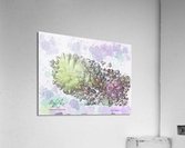 007CometozeMS Acrylic Print
