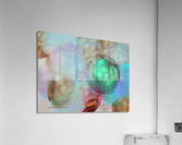 074RognialStarMS Acrylic Print