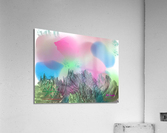 073Relaba2MS Acrylic Print