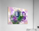 098WarriorMS Acrylic Print
