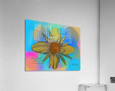 086CompassMS Acrylic Print