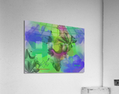 110Pladikam3MS Acrylic Print