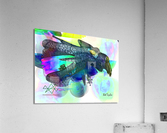 160BirdofPreyMS Acrylic Print