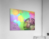 174MagnixMS Acrylic Print