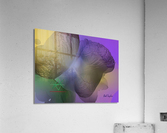 197CrunchMS Acrylic Print
