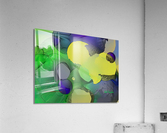 209BeelineMS Acrylic Print