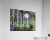 236RadiantStarMS Acrylic Print