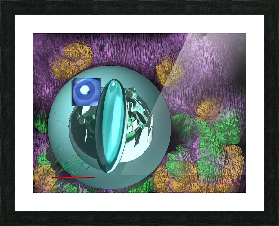 031InnerDoorMS Picture Frame print
