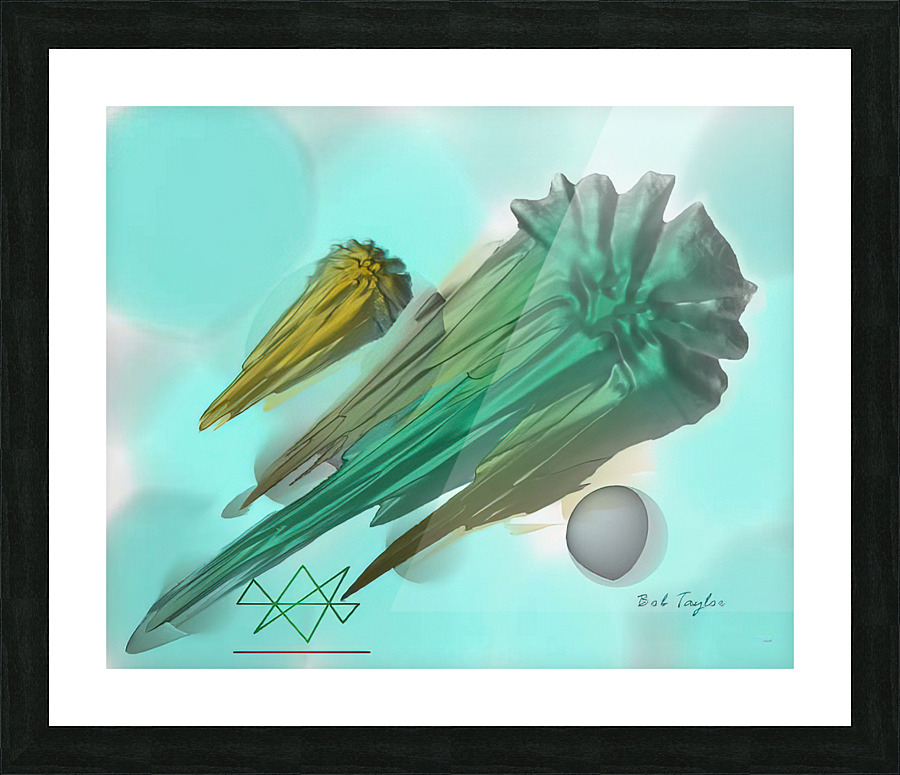 044AsteroidsMS Picture Frame print