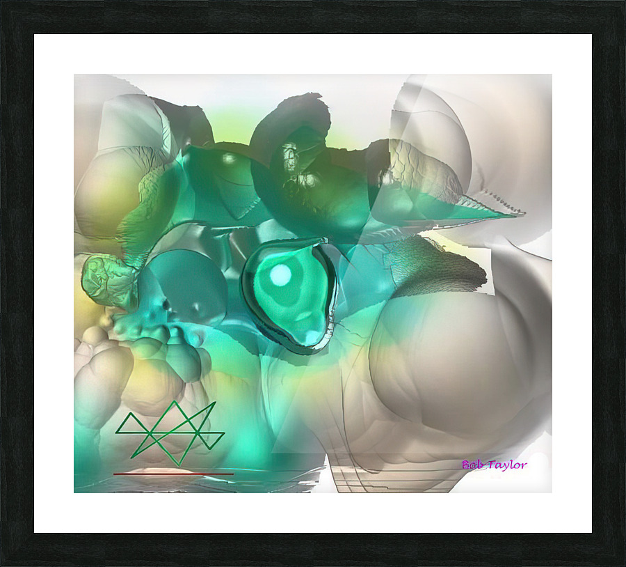 046Bleem17MS Picture Frame print