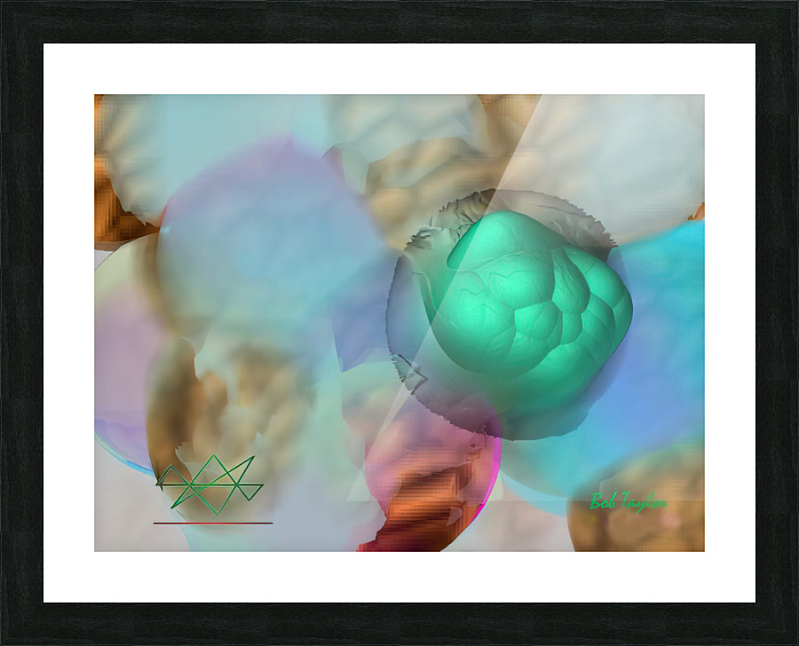 074RognialStarMS Picture Frame print