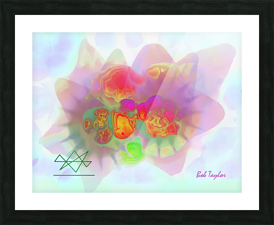 084Centric3MS Picture Frame print