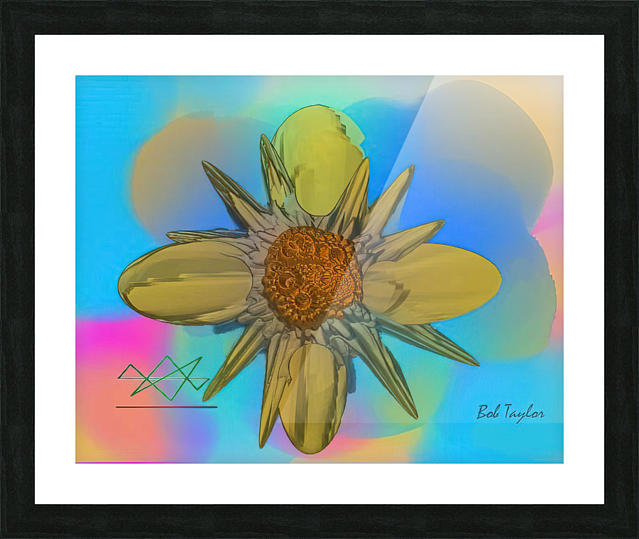 086CompassMS Picture Frame print