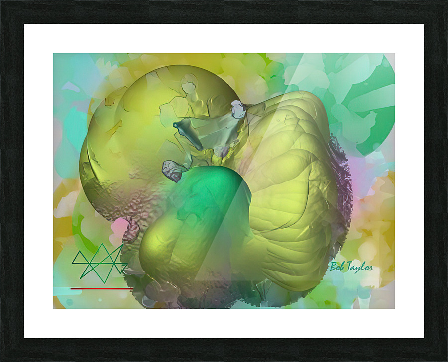 094GoldenoidMS Picture Frame print