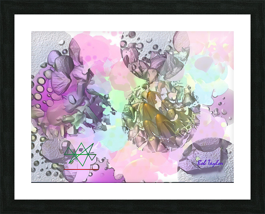 096LinuousMS Picture Frame print