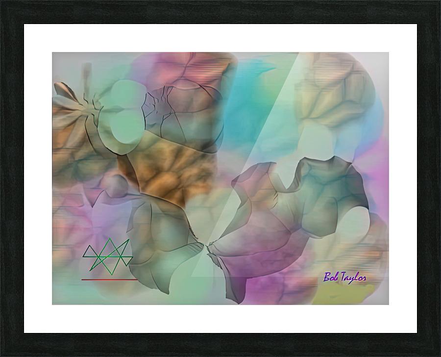 119WingsMS Picture Frame print