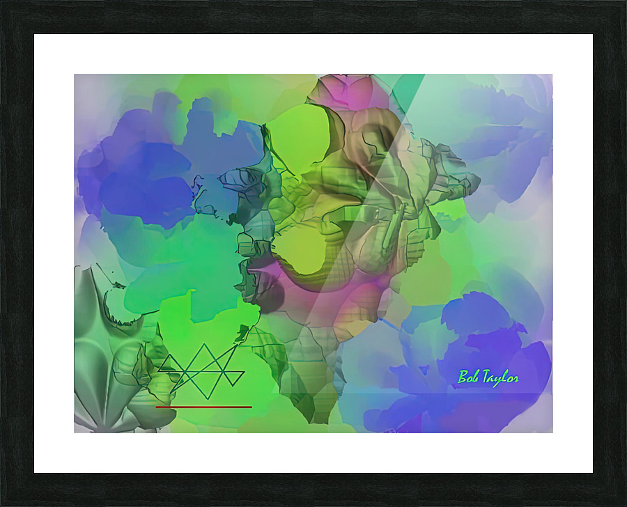 110Pladikam3MS Picture Frame print