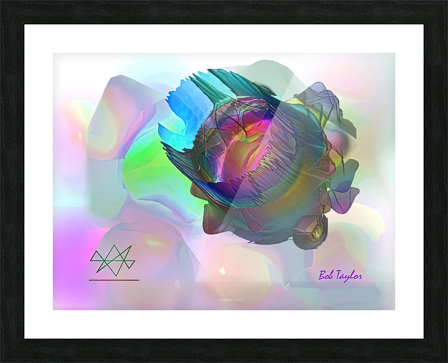 121Dimensions2MS Picture Frame print